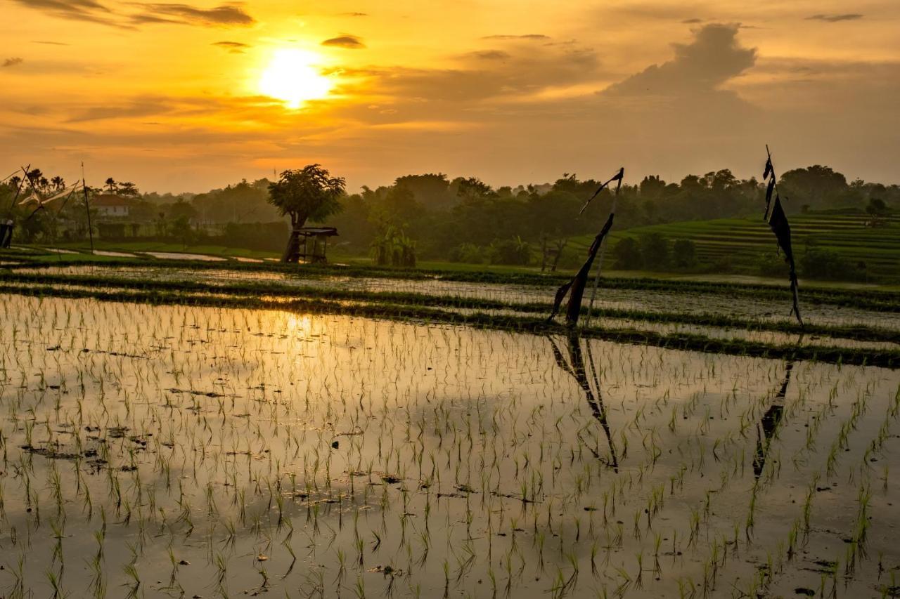 Gajah Villa By Betterplace Canggu Dış mekan fotoğraf