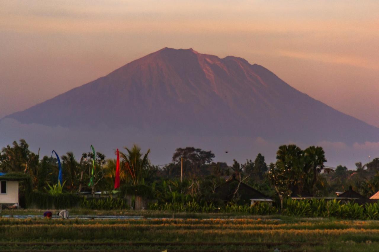 Gajah Villa By Betterplace Canggu Dış mekan fotoğraf