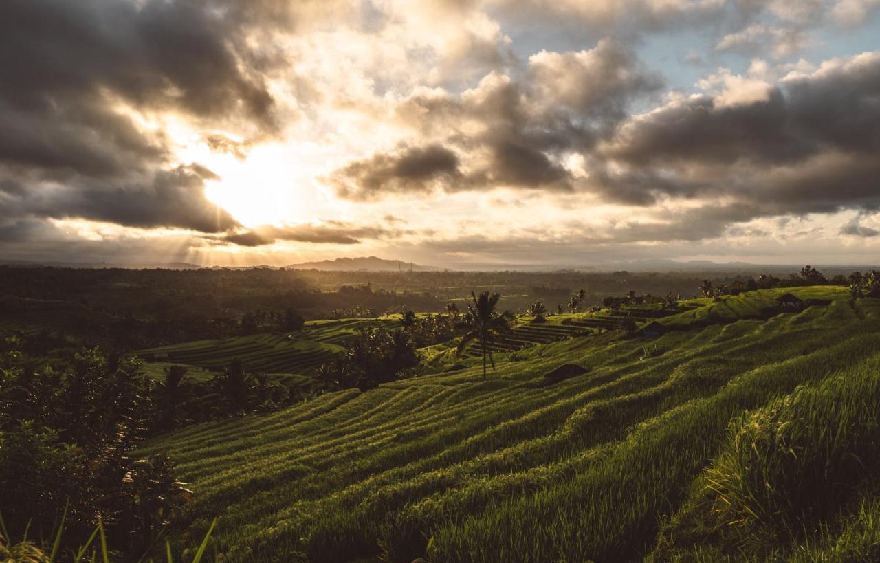 Gajah Villa By Betterplace Canggu Dış mekan fotoğraf